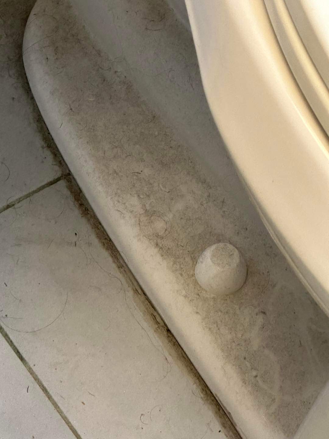 FB_IMG_1685977366362