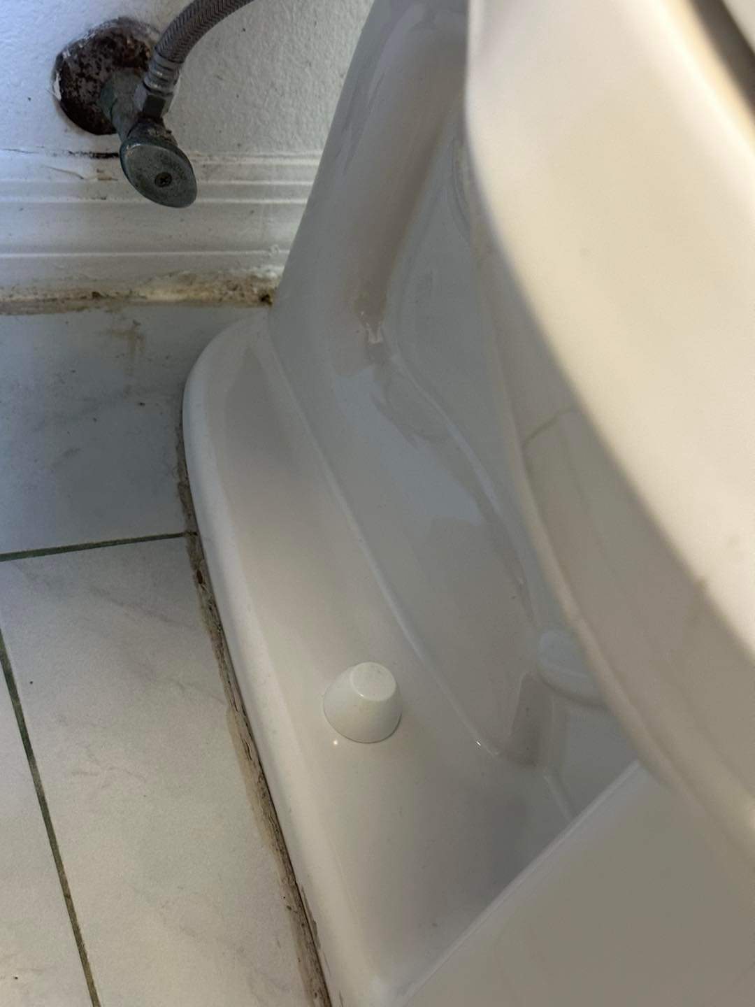 FB_IMG_1685977369649